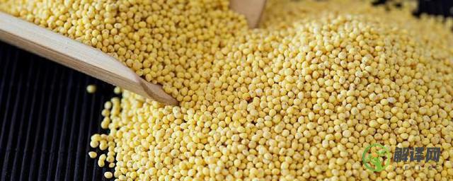 大黄米的营养价值及功效与作用
