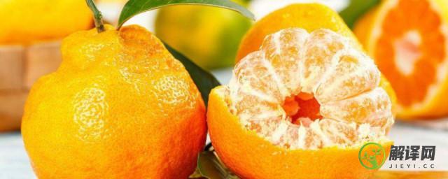 丑橘和耙耙柑区别(丑橘和耙耙柑有啥区别)