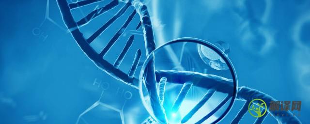 转基因和非转基因的区别是什么