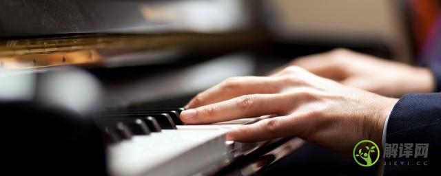 电子琴和钢琴的区别是什么(电子琴和钢琴的区别?)