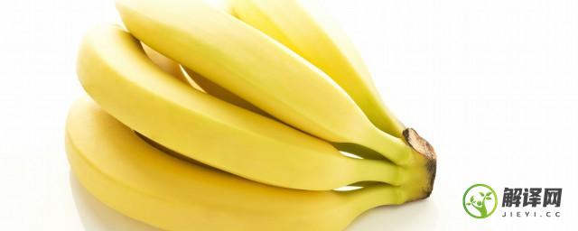 香蕉和芭蕉的营养区别(芭蕉和香蕉的区别)