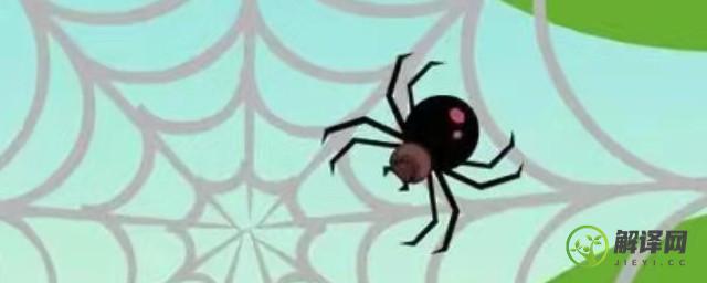 怎么辨认黑寡妇蜘蛛(黑寡妇是黑蜘蛛吗)