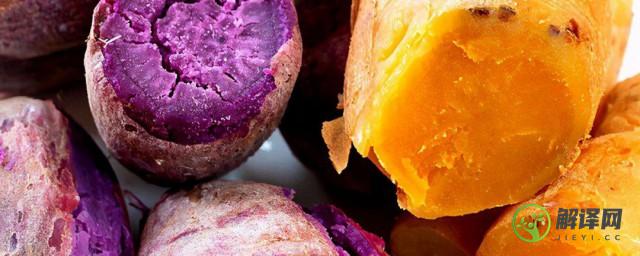 紫薯和红薯的区别(紫薯和红薯的区别哪个减脂更实用)