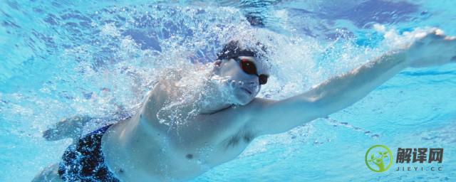 自由泳的专业训练动作(自由泳 训练)
