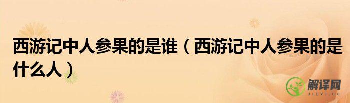 西游记中人参果的是什么人(西游记中的人参果是谁的)