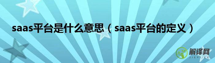 saas平台的定义(SaaS平台是什么)