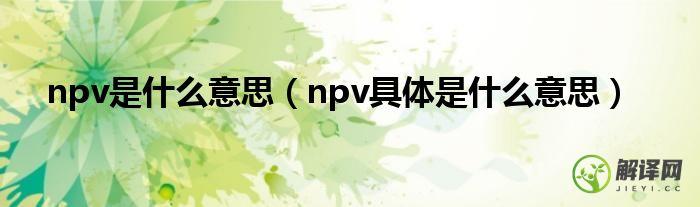 npv具体是什么意思(npv的全称)