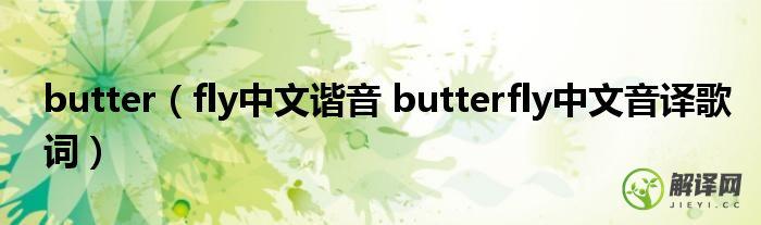 fly中文谐音 butterfly中文音译歌词