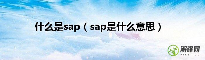 sap是什么意思(sap介绍)