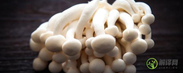 白玉菇和海鲜菇有什么区别(海鲜菇跟白玉菇的区别)