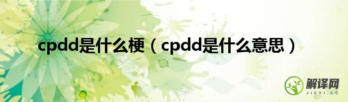 cpdd是什么意思(cpdd是什么意思呢,dd是啥意思)