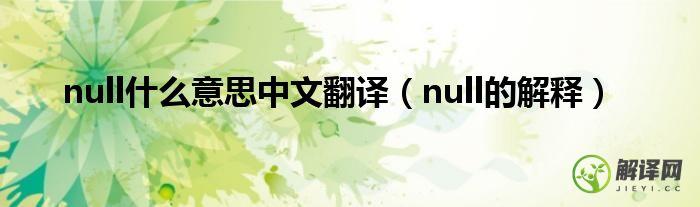 null的解释(null的意思中文翻译)