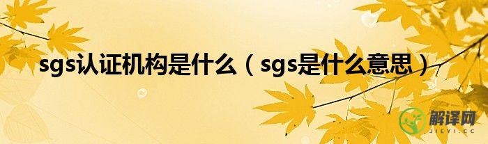 sgs是什么意思(SGSN是什么意思)