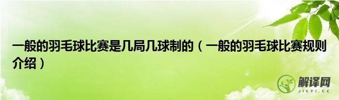 一般的羽毛球比赛规则介绍(羽毛球的竞赛规则和竞赛规程)