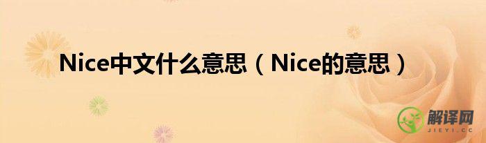 Nice的意思(How nice的意思)
