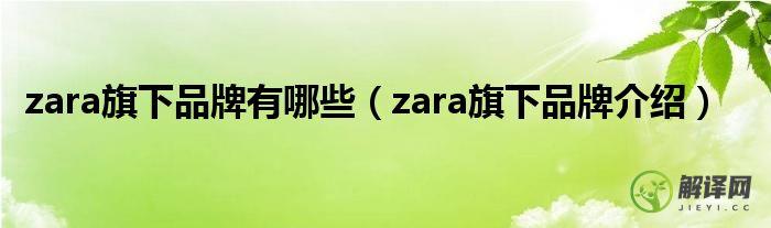 zara旗下品牌介绍(zara集团旗下品牌有哪些)
