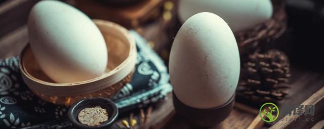 鹅蛋和鸭蛋的区别(鹅蛋和鸭蛋的区别鹅蛋有双黄吗?)