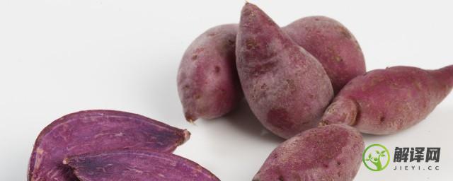 紫薯粉怎么吃(紫薯粉怎么吃才好吃)