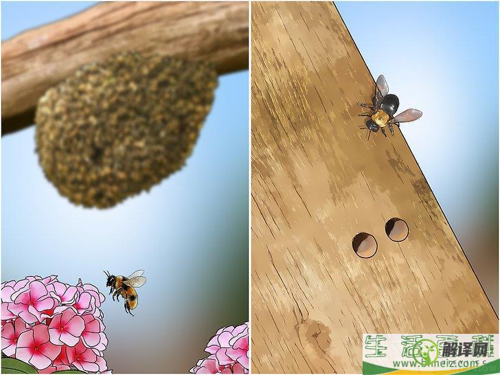 怎么摆脱蜜蜂(怎么让蜜蜂远离自己)