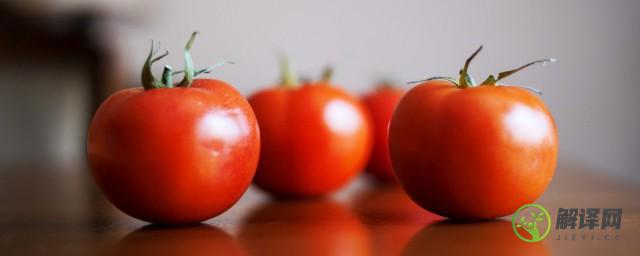 西红柿的减肥功效(减肥吃西红柿的功效与作用)