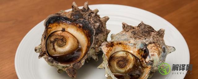 加拿大翡翠螺怎么吃(翡翠螺吃法)