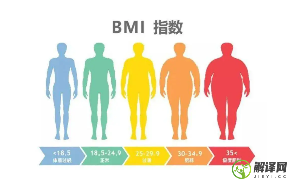 bmi指数男女标准是什么(bmi指数男女标准中国)