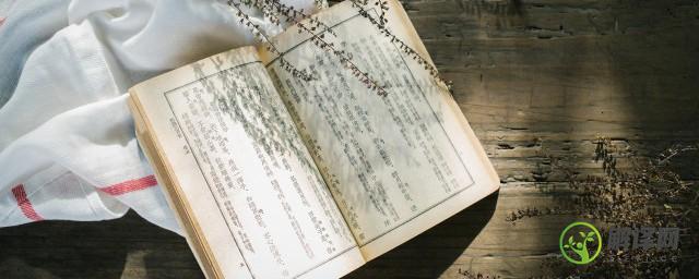 汉代儒家董仲舒的历史地位是什么