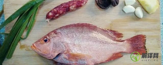 红鱼怎么做好吃又简单家常的(红鱼的做法 最正宗的做法窍门)