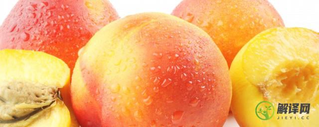 夏天桃子能放冰箱里保鲜吗(桃子可以放在冰箱保鲜吗)