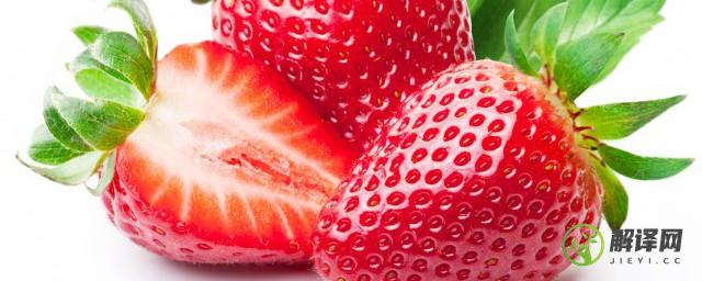 草莓成熟期是什么季节(草莓成熟是在什么季节)