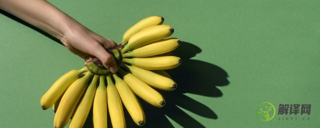 香蕉产量是在什么季节成熟的(香蕉在我国的主要产地成熟季节)