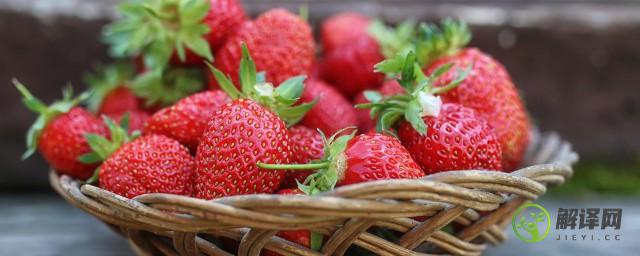 草莓在什么季节成熟(草莓一般在哪个季节成熟)
