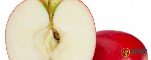 苹果成熟一般在什么季节(苹果什么季节成熟?)