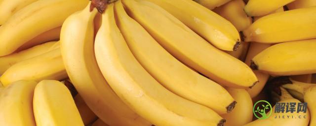 香蕉成熟的时候是什么季节(香蕉是什么季节成熟?)