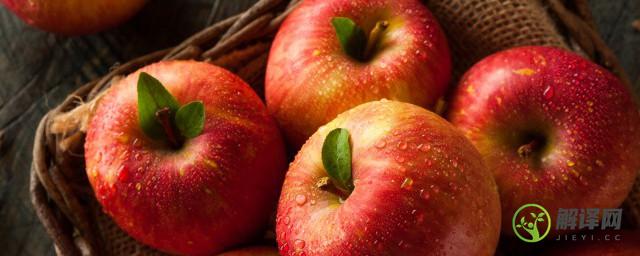河北苹果季节是什么时候成熟(苹果是什么季节的?几月份苹果成熟?)