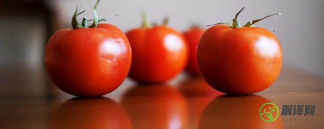 西红柿茄子是什么季节成熟(茄子成熟的季节是什么季节)