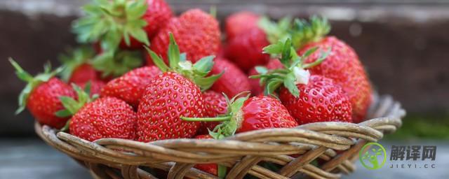 草莓成熟了是什么季节(草莓在什么季节成熟的)