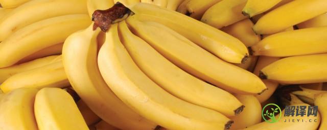香蕉应该是什么季节成熟(香蕉一般在什么季节成熟)