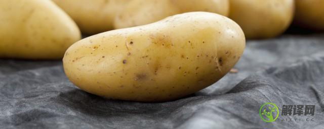 土豆的施肥方法如下(土豆的种植技术及施肥方法)