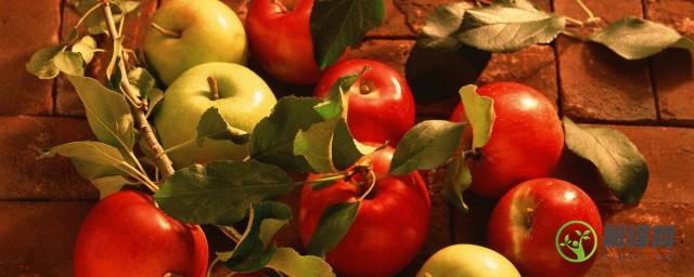 苹果树施肥最佳时间(苹果树什么时候施肥?如何施肥?)