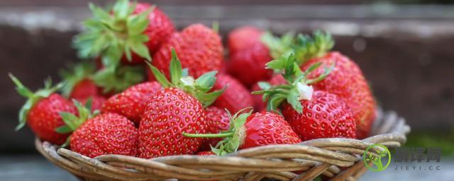 自家种的草莓怎么施肥(在家种草莓施什么肥)