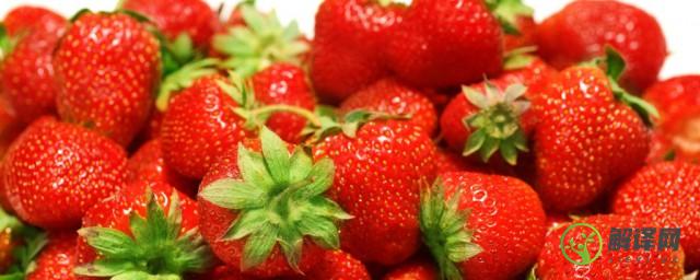 一般几月份是吃草莓的季节(草莓应该是几月份吃)