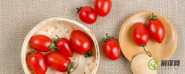 小番茄种植时间和方法(小番茄种植时间和管理方法)