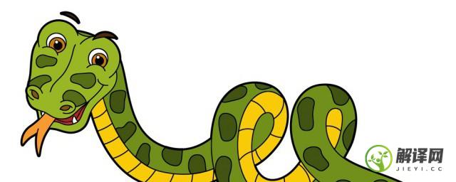 蛇是怎么繁殖的(蛇是怎么繁殖后代的呢)