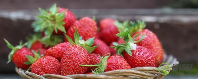 家庭种植草莓的技巧(怎样在家种植草莓)