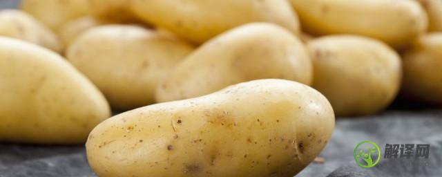 九月份土豆种植技巧和方法(土豆九月份可以种植吗)