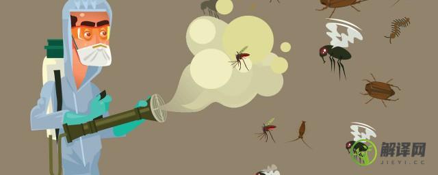 世界上最毒的蚊子是什么蚊子(世界上最有毒的蚊子)