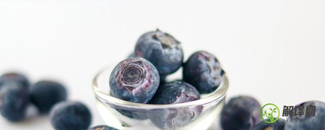 蓝莓可以做什么简单的食物(用蓝莓做的食物)
