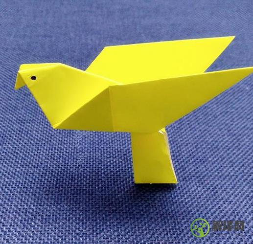 折纸的方法做成一只鸽子是怎么做的(用纸怎样折鸽子)