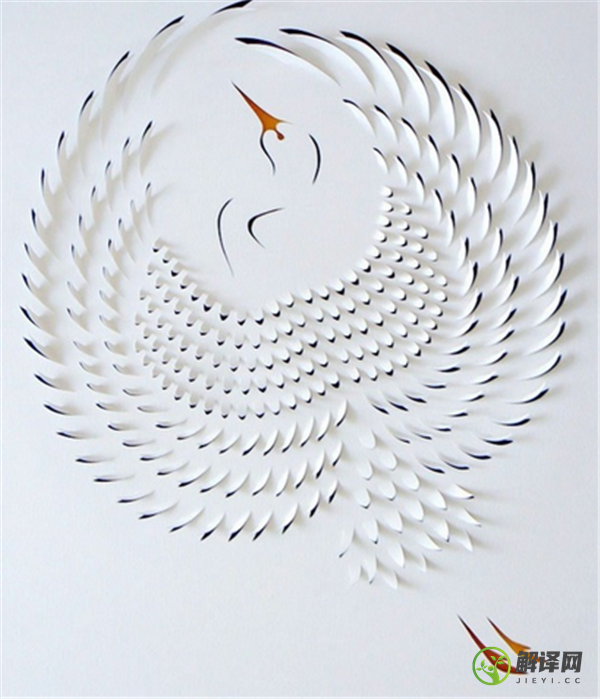 简单立体纸艺手工作品制作方法教你做翅膀会扇动的纸模小鸟(纸的立体造型作品图片 手工制作)